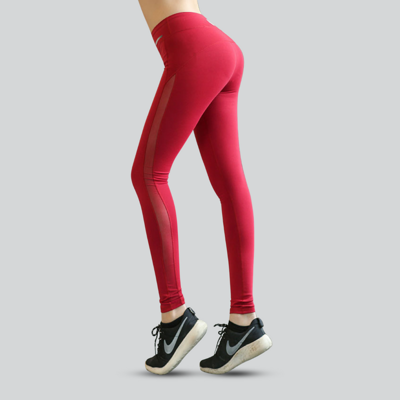 Sports Gym Running Leggings For Women