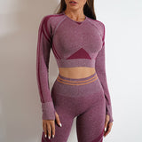 Gym Fitness Leggings And Long Sleeve Tops